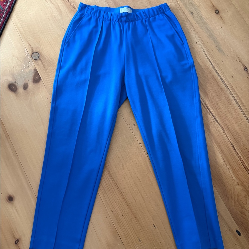 Everlane Electric Blue Tailored Elastic-Waist Dress Pants